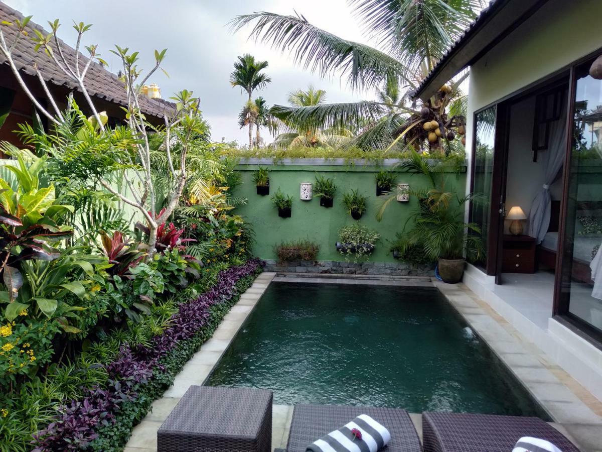 Апартаменты Rumah Mini Убуд Экстерьер фото